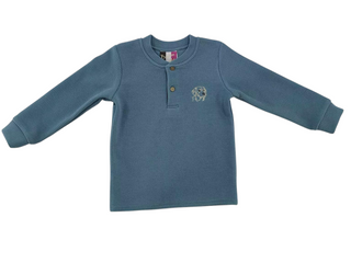 Banana Split Kids Blue Puppy Dog Henley Shirt for Boys