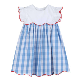 Red, White and Blue Gingham Dress - Lil Cactus