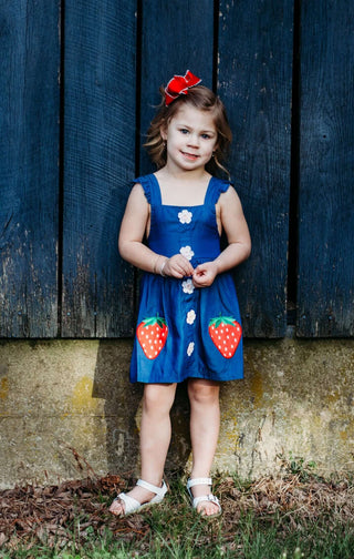 Strawberry Denim Sundress