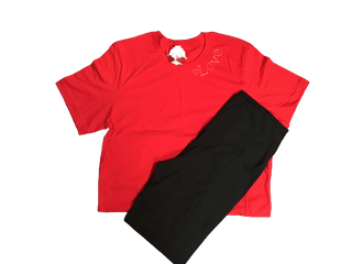 Adult Red Bella Canvas Love short sleeve shirt