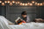 The Best Summer Reads... For Kids!