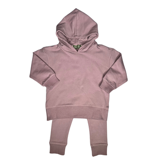 Sage & Lilly Purple Hooded Sweatshirt and Legging Outfit