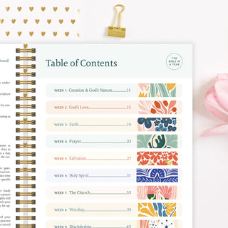 Spiral Bible The Bible in a Year: A 52-Week Study-Books-Simply Blessed Children's Boutique