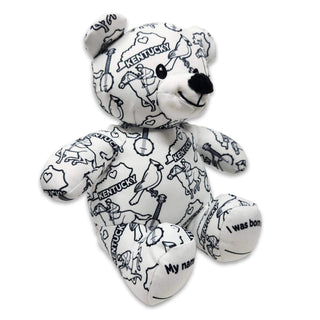 Color-Your-Own Kentucky Teddy Bear-Toys-Simply Blessed Children's Boutique