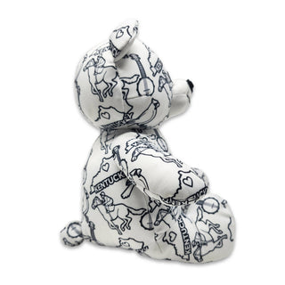 Color-Your-Own Kentucky Teddy Bear-Toys-Simply Blessed Children's Boutique
