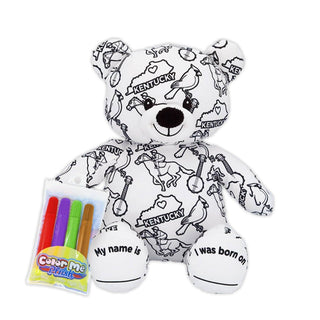 Color-Your-Own Kentucky Teddy Bear-Toys-Simply Blessed Children's Boutique
