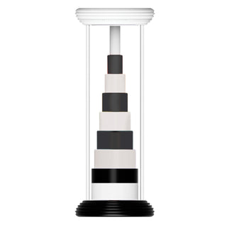 Flipty toy from Fat Brain upright displaying black and white ring stack inside clear tube against white background