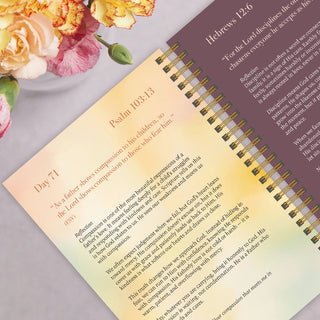 Spiral Bible A Year in Devotion: 365 Days To Draw Near God-Books-Simply Blessed Children's Boutique