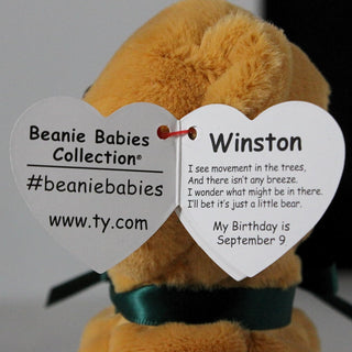 TY Winston the Bear-Toys-Simply Blessed Children's Boutique
