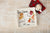 Santa Cookie Tray