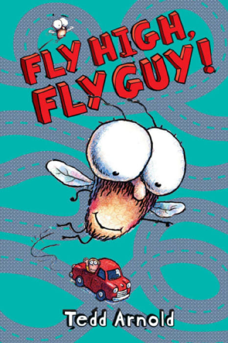 Fly Guy #5: Fly High, Fly Guy!-Books-Simply Blessed Children's Boutique