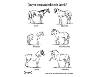 H is for Horse - Activity and Coloring Book