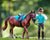 Heather - English Rider