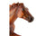 Secretariat Breyer Horse