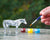 SUNCATCHER HORSE PAINT & PLAY
