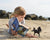 THE BLACK STALLION HORSE & BOOK SET