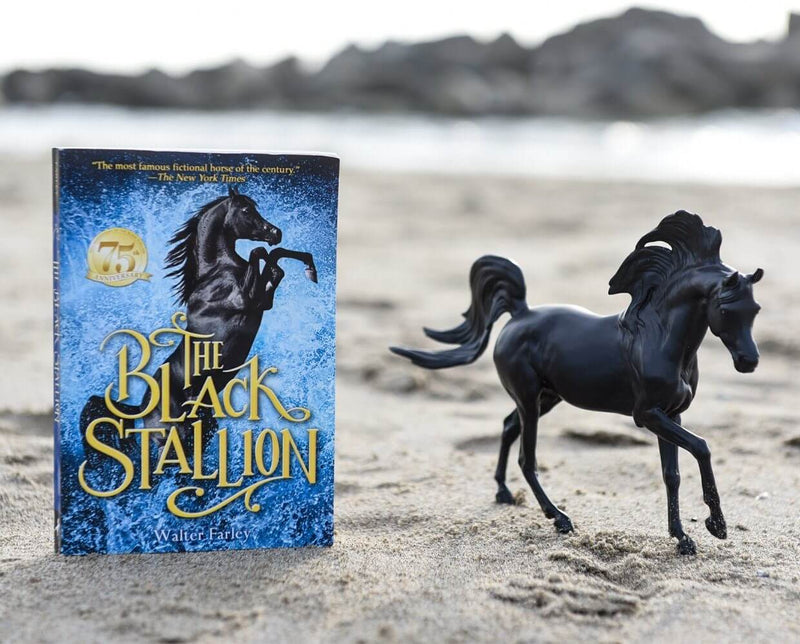 THE BLACK STALLION HORSE & BOOK SET